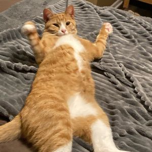 Meet your Posher, Adriana